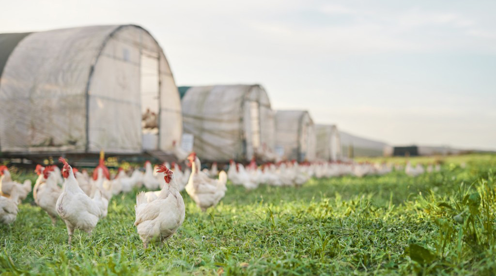 gettyimages-1304018826-1024x683