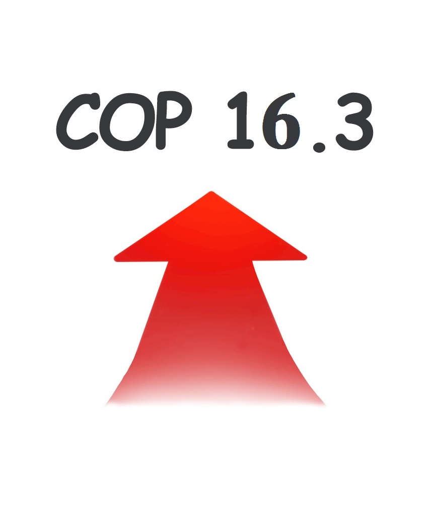 pompa de caldura piscina cop16.39